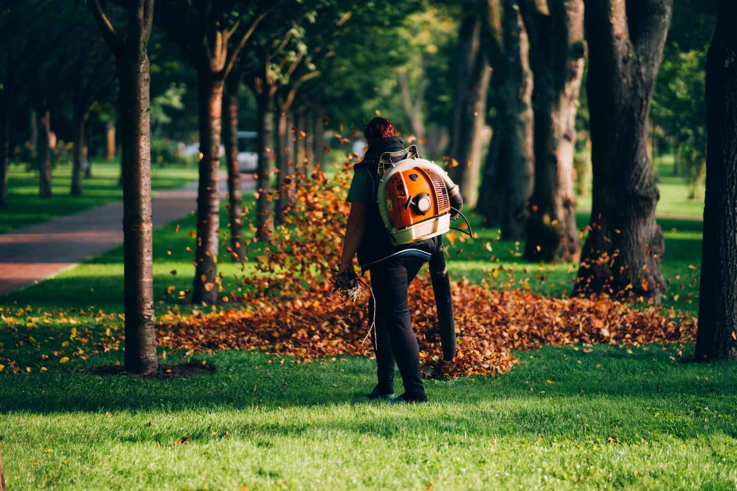 Best Tree Branch Trimming  in Rson, CA